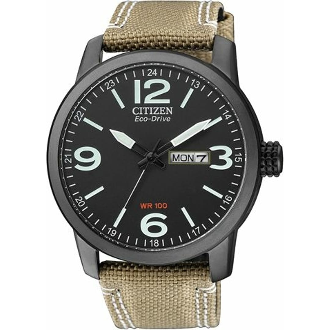 Citizen Sports Gent Day-Date Eco-Drive
