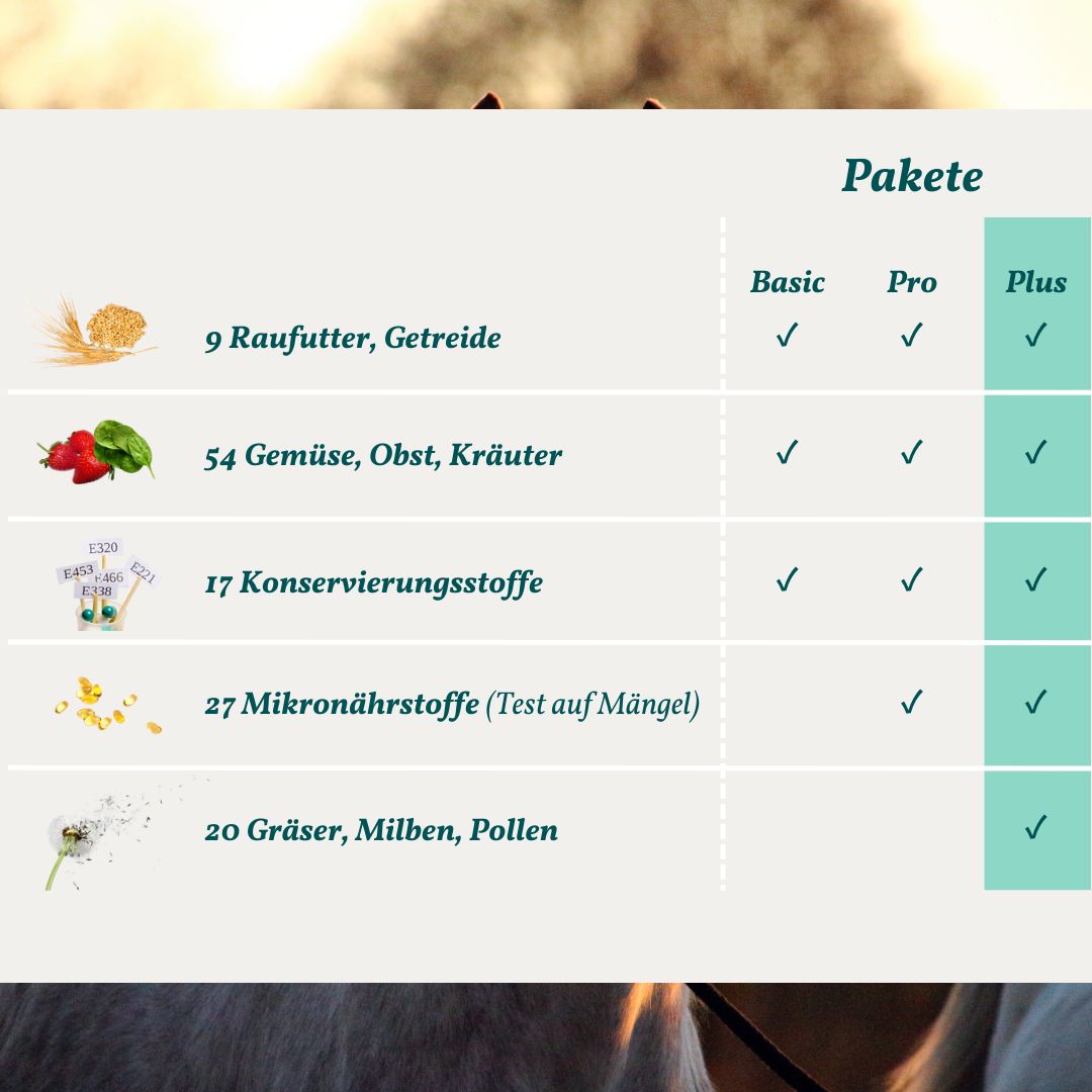 Allergietest Plus Pferd