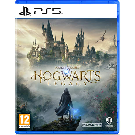 PS5: Hogwarts Legacy standard