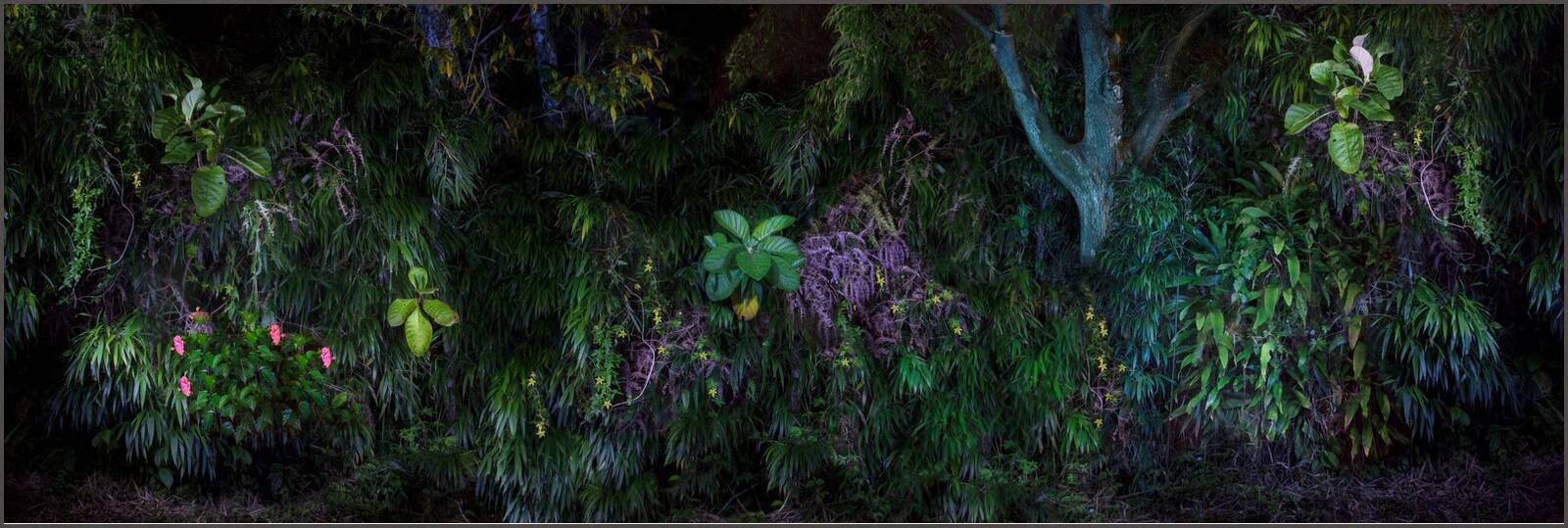 Eden II. by Katalin Vasali - Limited Edition. Edition of: 150. Signed.