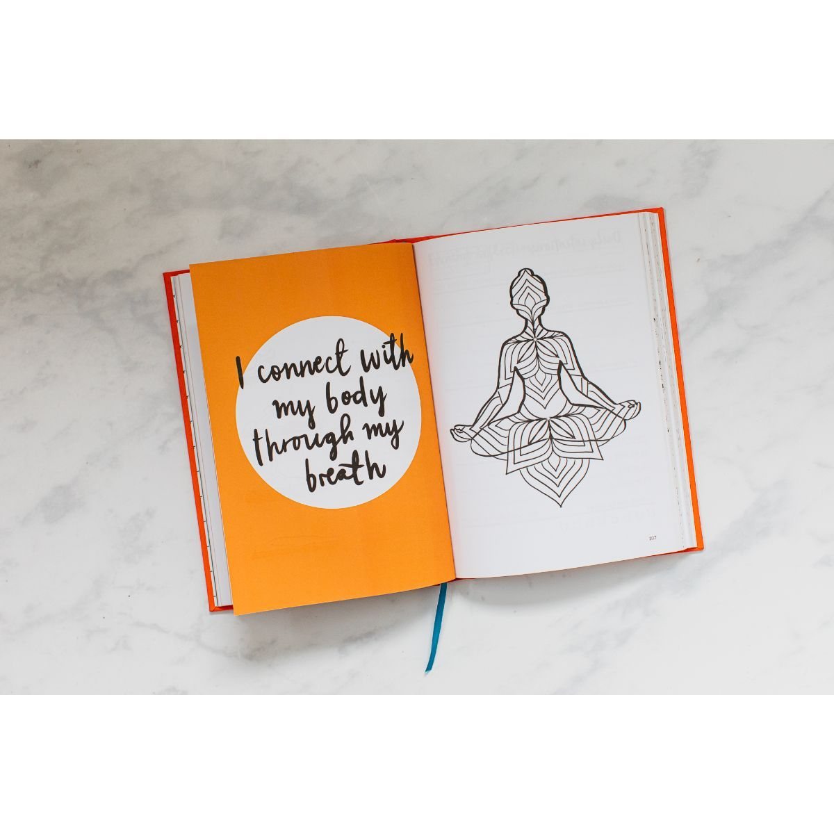 The Positive Wellness Journal (Hardback)