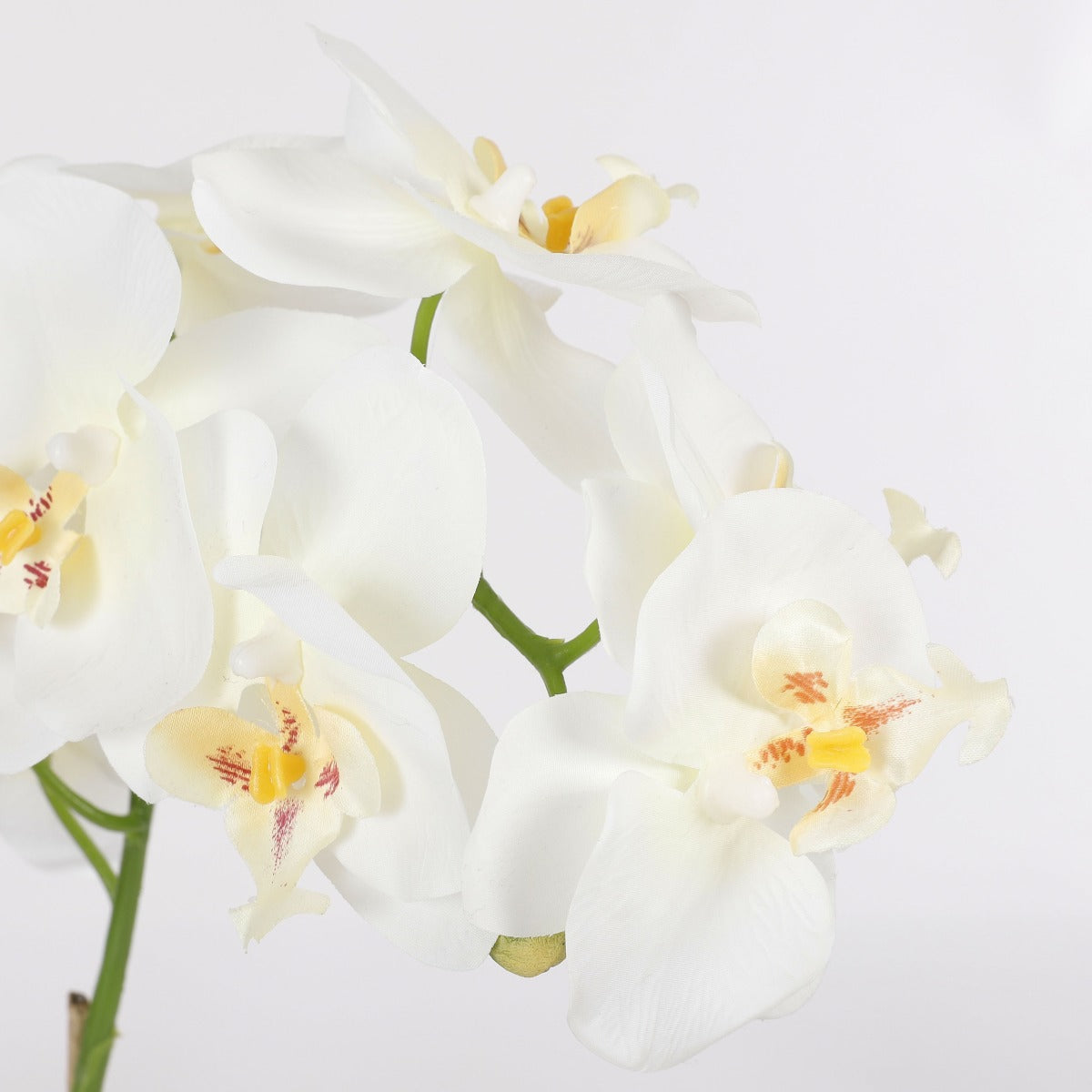 Orchidée artificielle blanche en pot h60