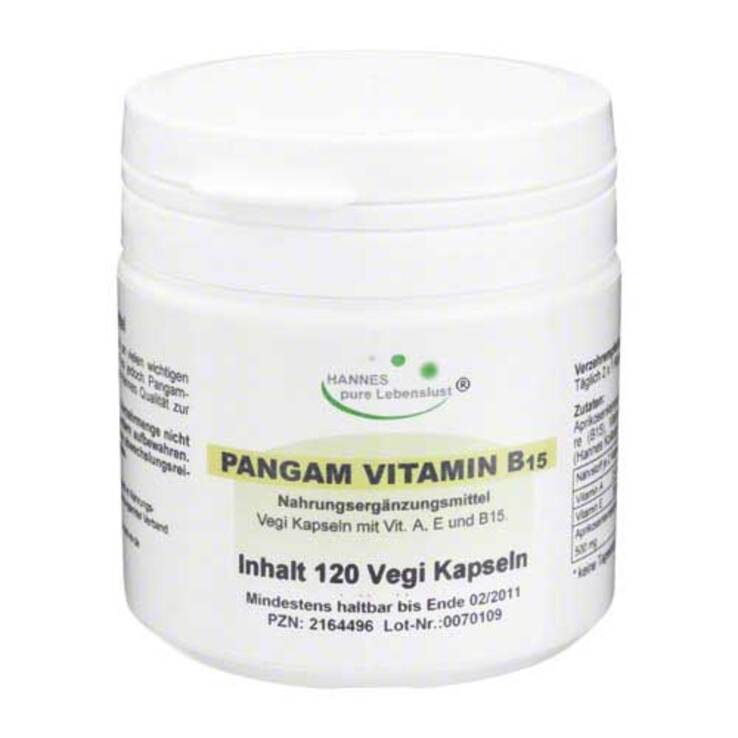 Pangam Vitamin B15 Kapseln, 120 St
