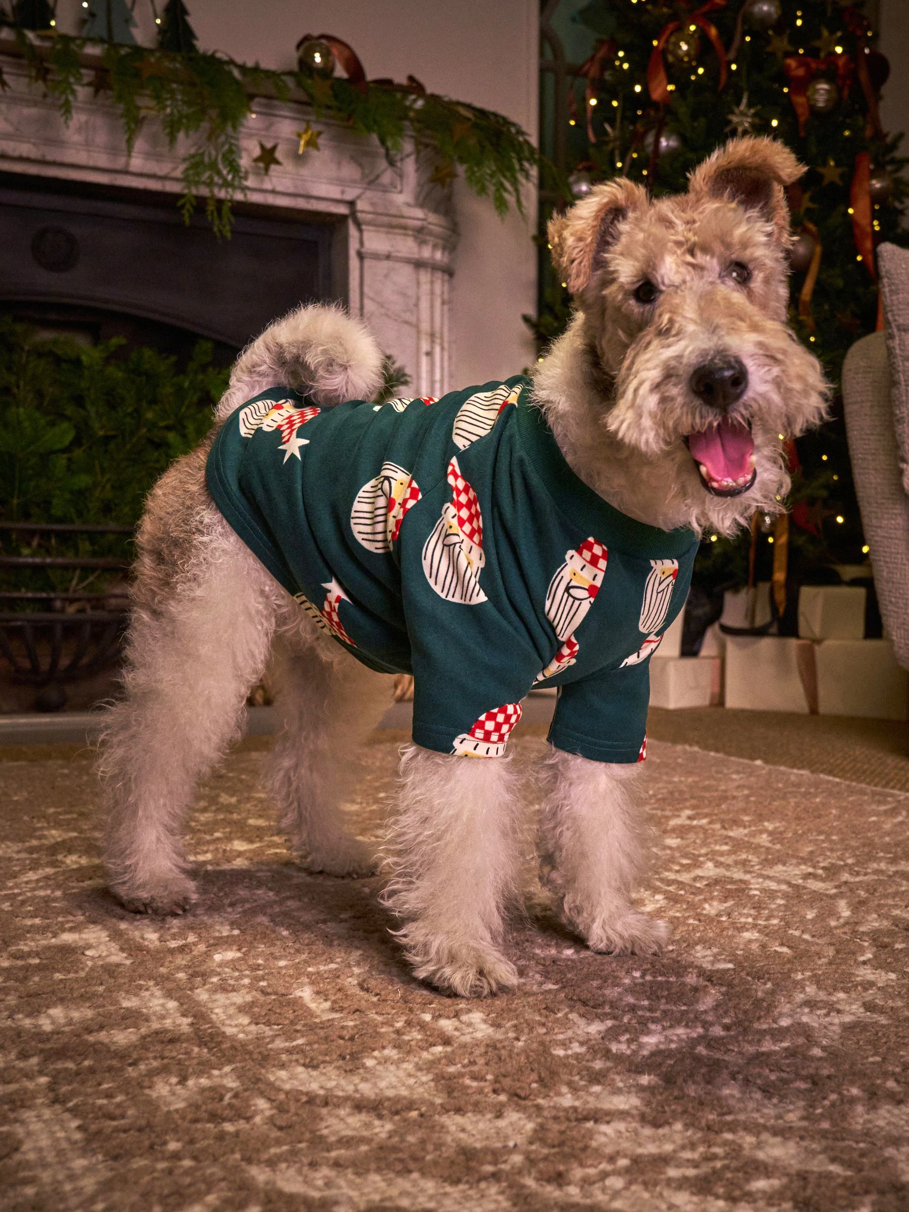 Matching Family - Behaaglijke kerstpyjama voor huisdieren