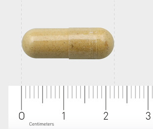 AOV 1007 Levernorm Capsules 60VCP