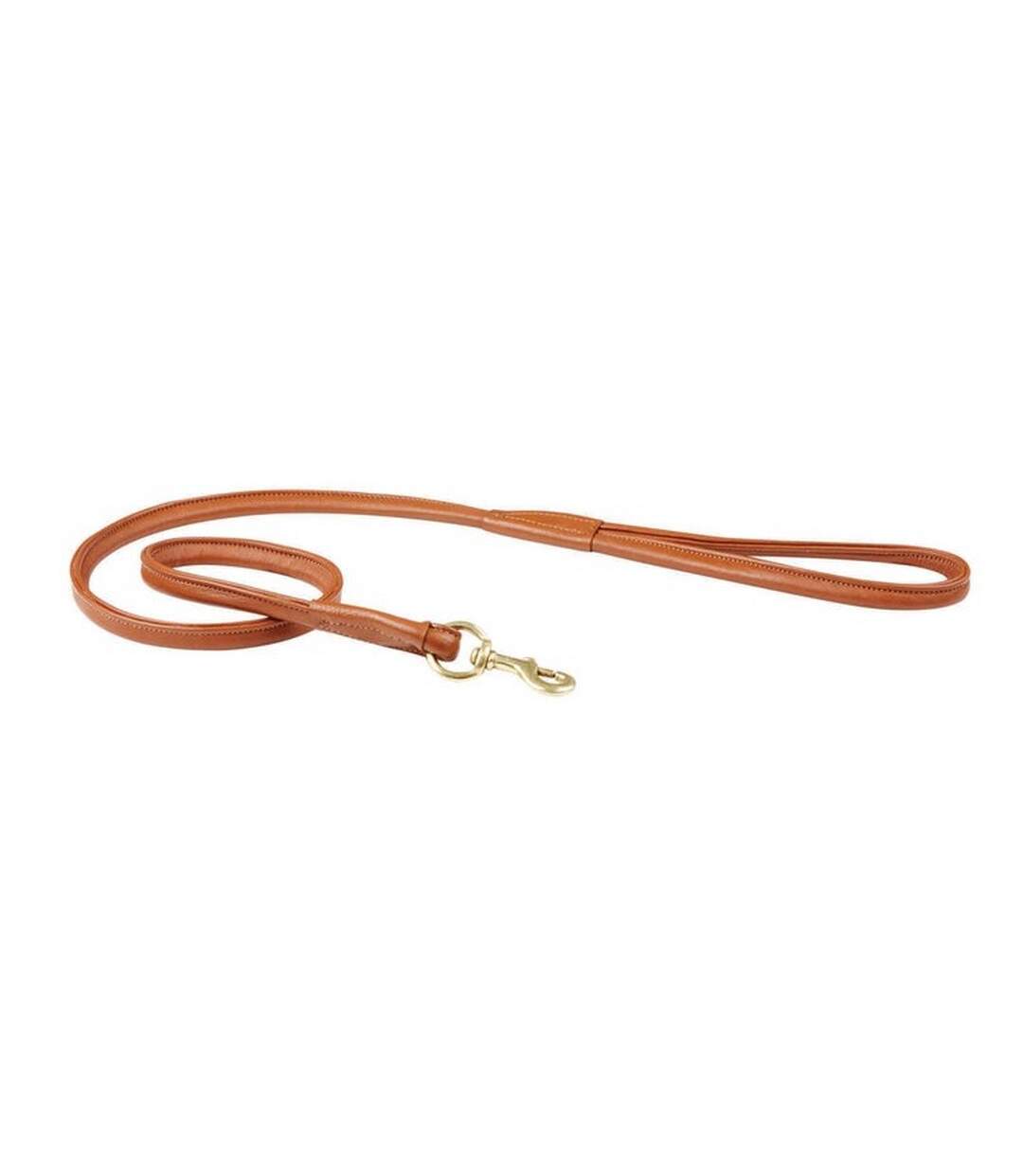 Weatherbeeta - Laisse de chien (Tan) (Taille unique) - UTWB1257