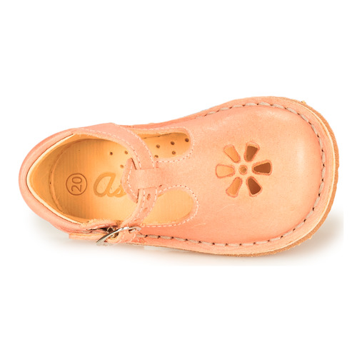 Aster - BIMBO-2 - Rose