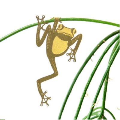 Plant Animal Tree Frog