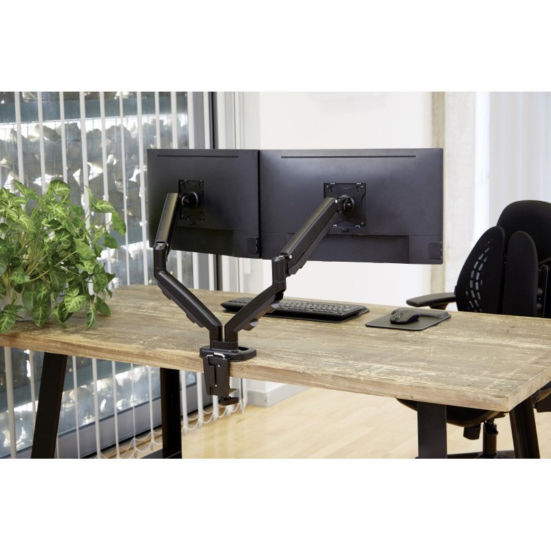 Bras support écrans double Eppa Fellowes