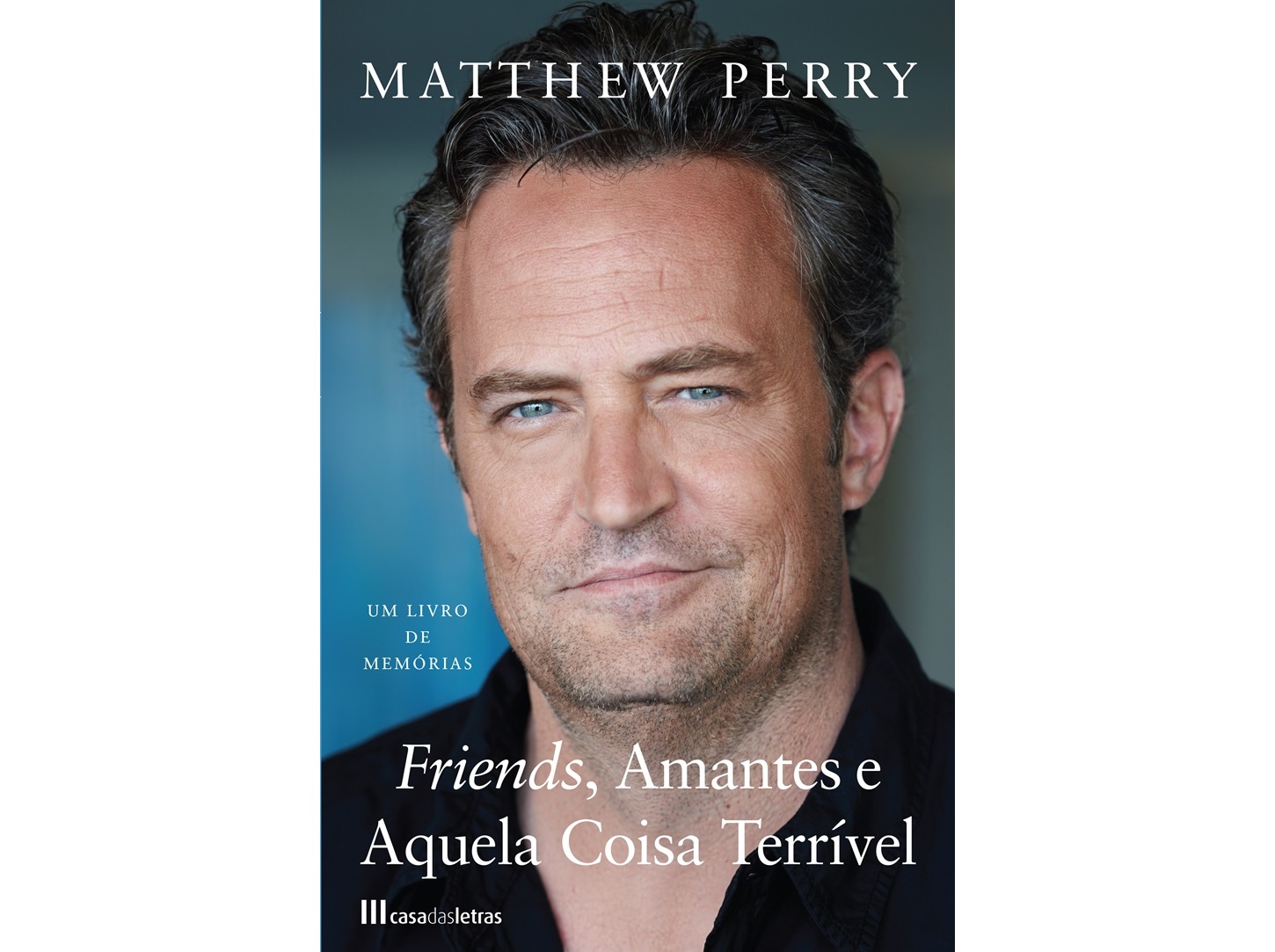 LIVRO FRIENDS AMANTES E AQUELA COISA TERRÍVEL