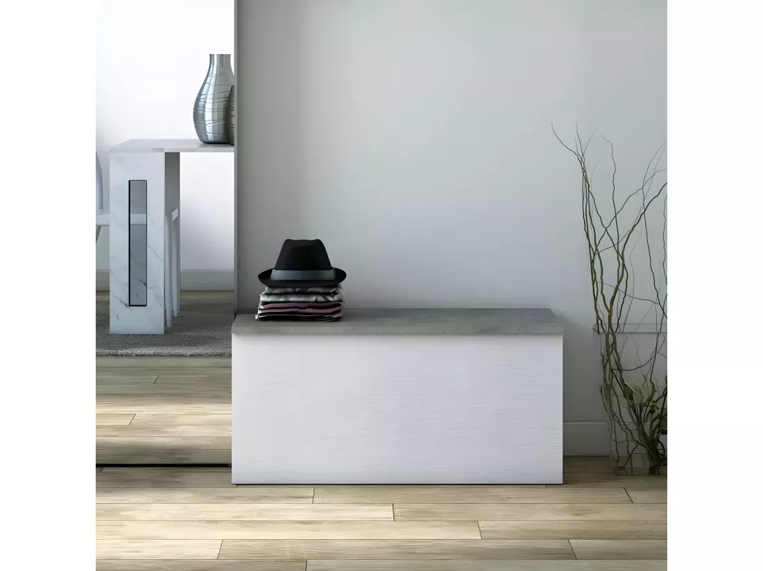 Banc conteneur coffre rangement entrée salon chambre ALDEN