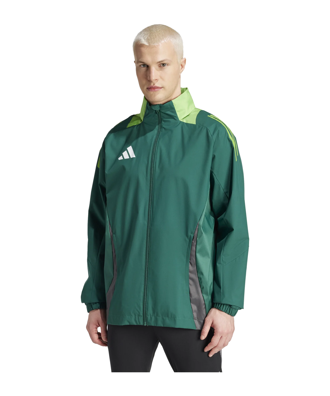 adidas Tiro 24 Competition Allwetterjacke Grün