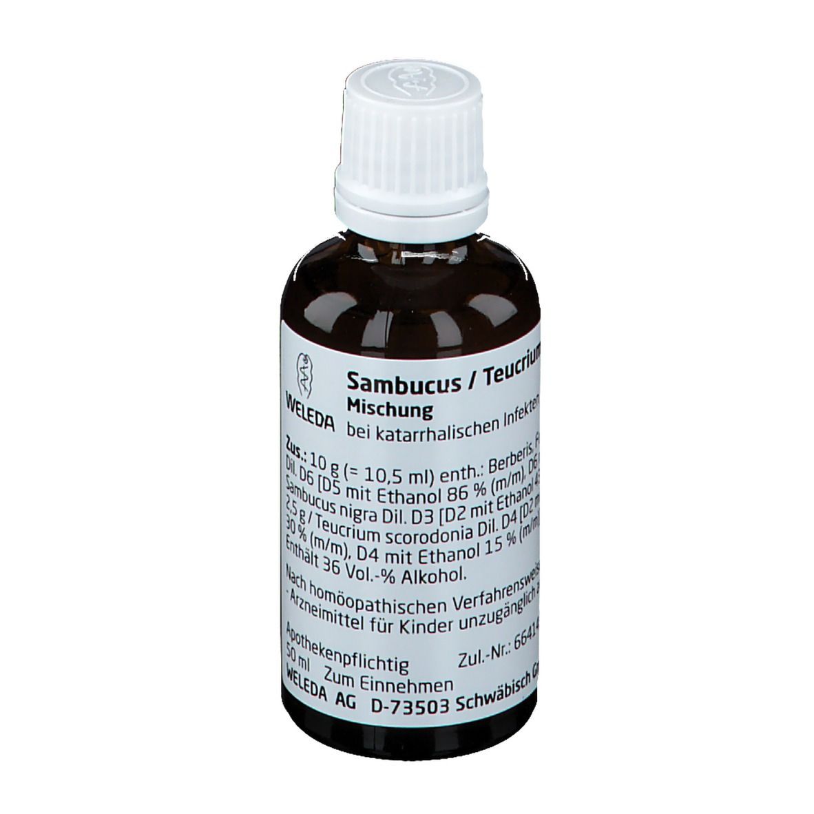 Sambucus / Teucrium comp. Dilution