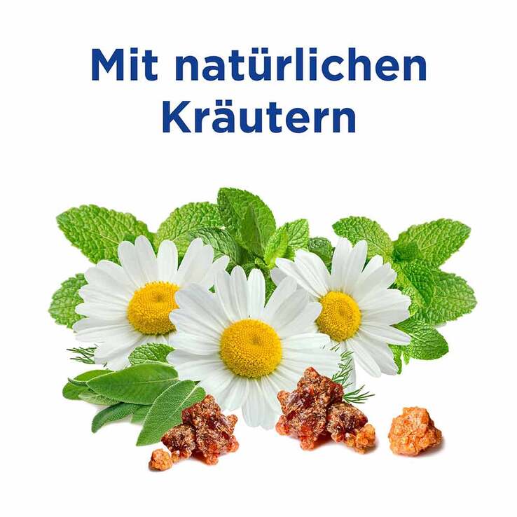 Colgate Komplett Zahnpasta natürliche Kräuter, 75 ml