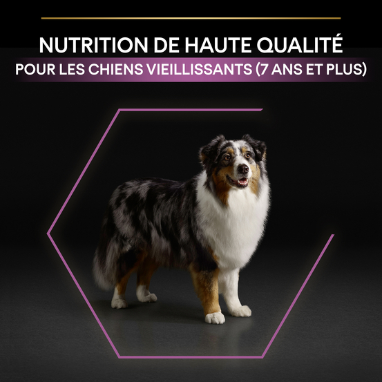 Croquettes chien senior de taille moyenne Super Premium - 14 kg