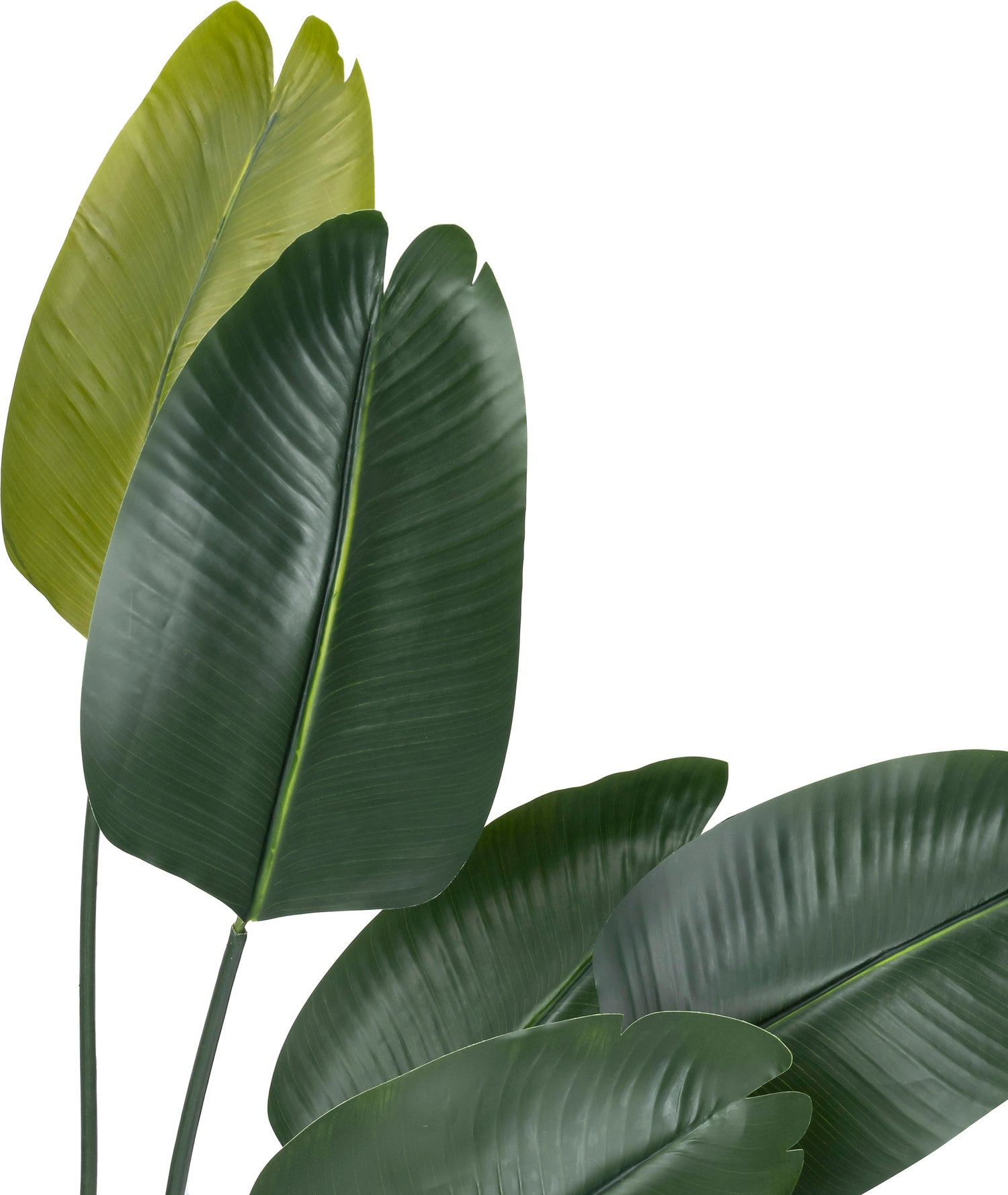 Intratuin kunstplant Strelitzia groen D 80 H 140 cm