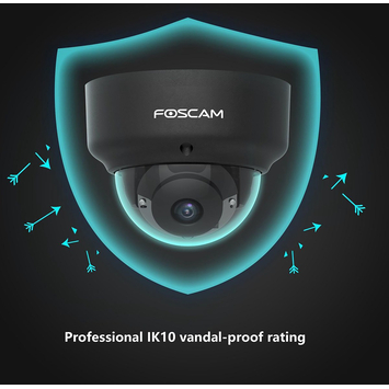 Foscam D2EP Zwart