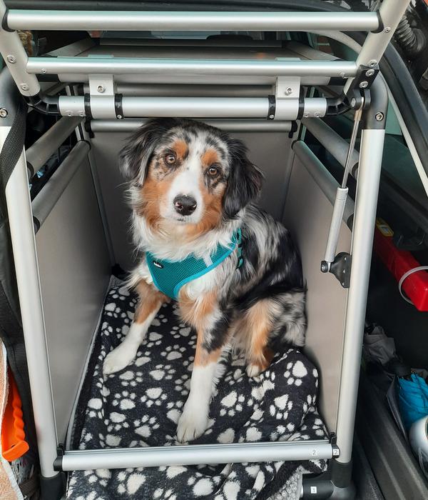 Nobby Hundetransportbox Round Corner