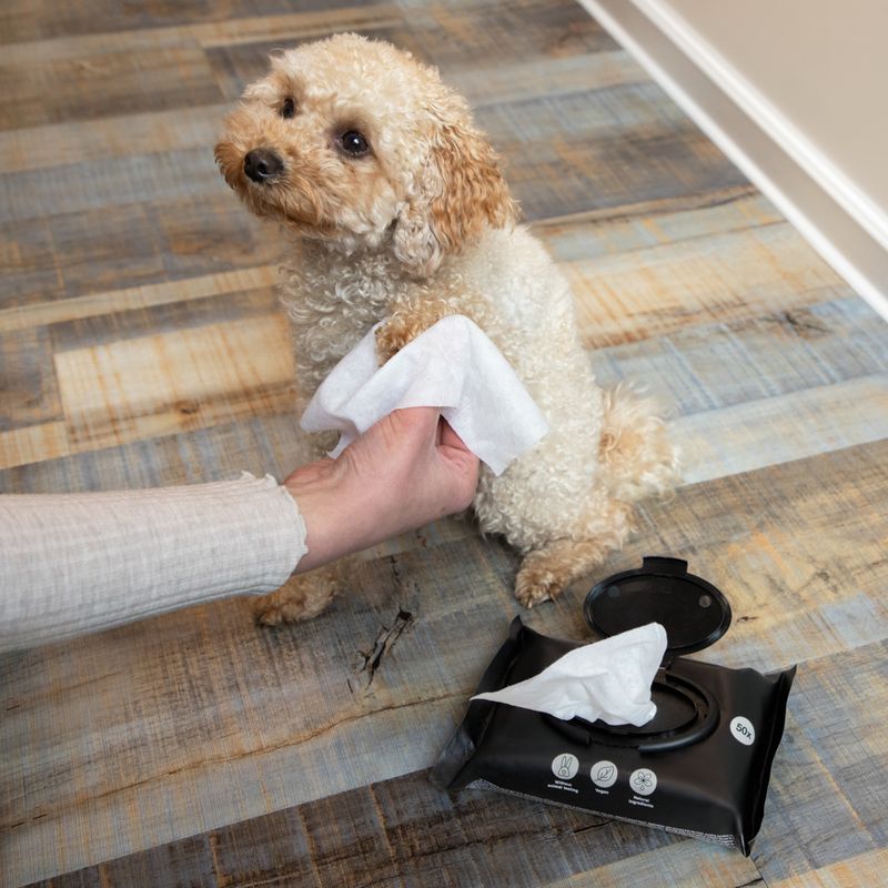Lingettes kooa pour chien
