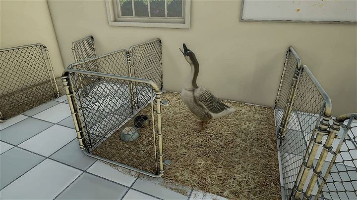 Animal Doctor- PlayStation 4