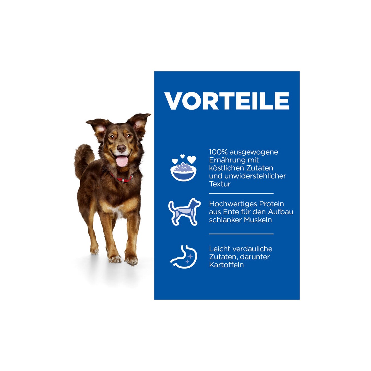 Hill's Science Plan Culinary Creations Adult mit Ente und Kartoffeln 2,5 kg