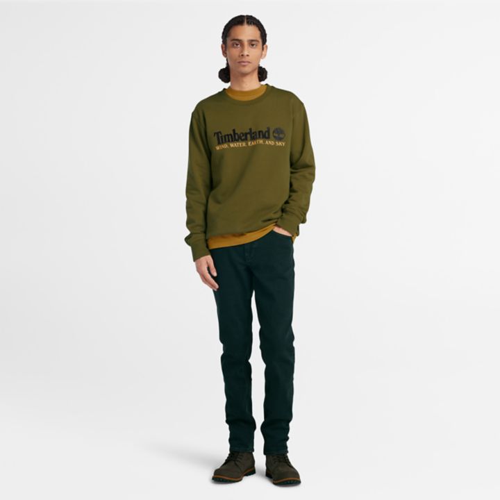 Moletom masculino verde com estampa de vento, água, terra e céu.