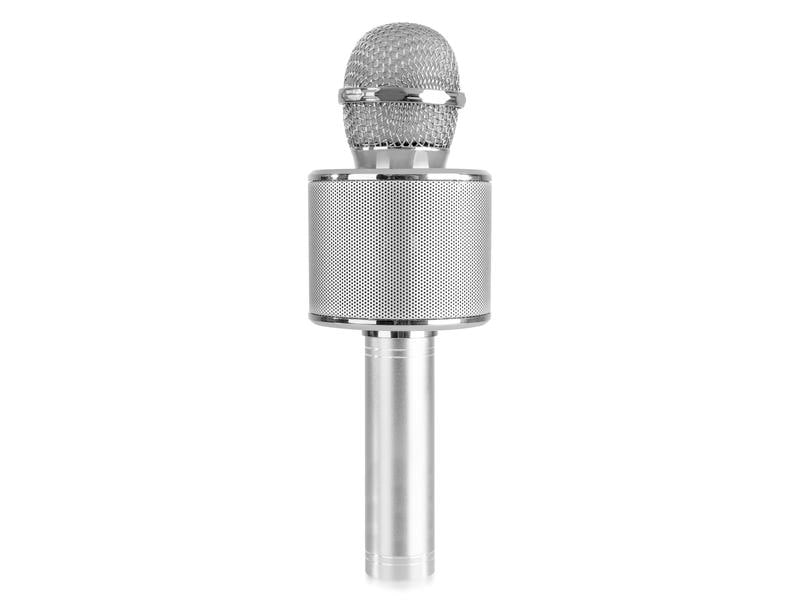 MAX Mikrofon KM01S Silber Karaoke Mikrofon mit eingebautem Lautsprecher