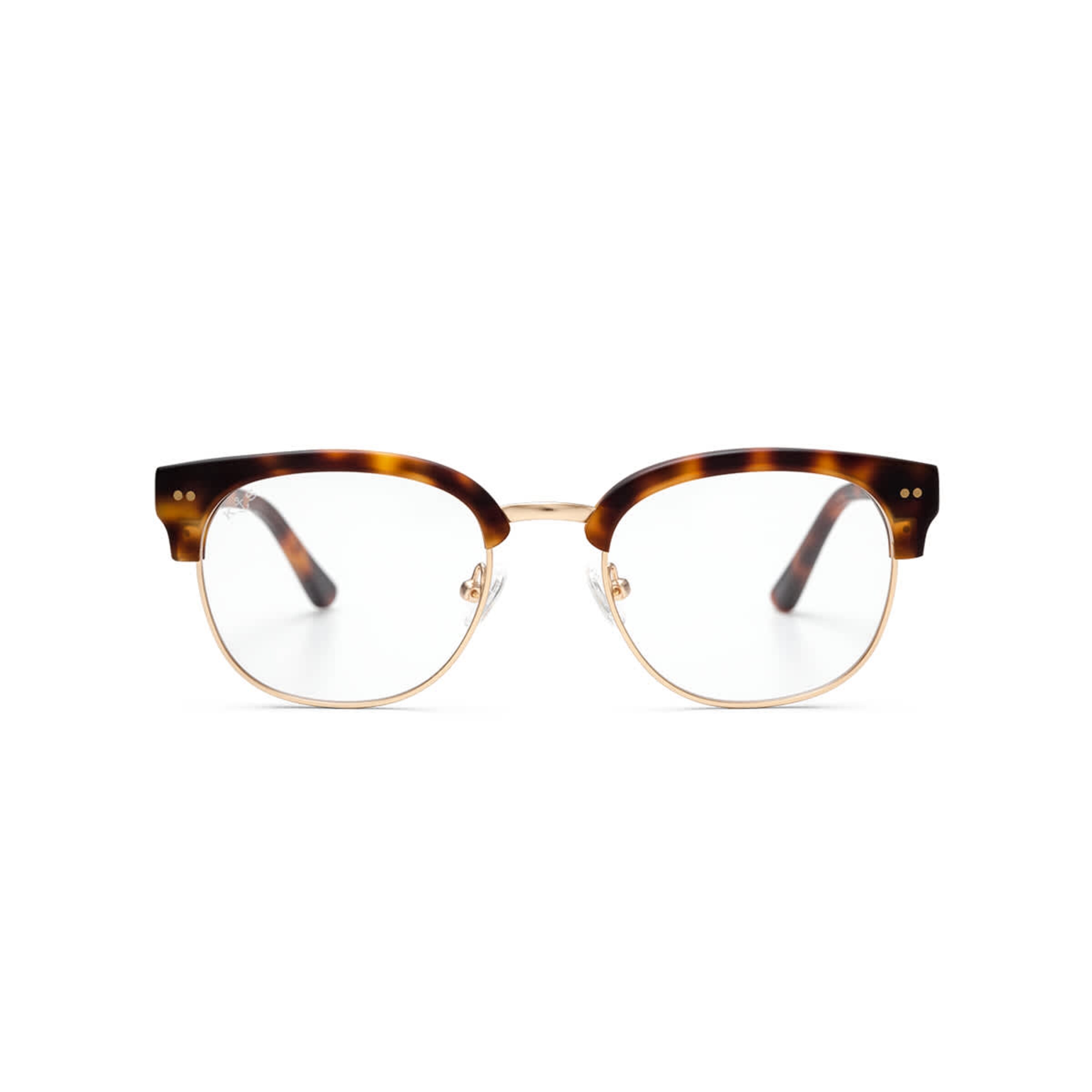 Glendale Matt Tortoise