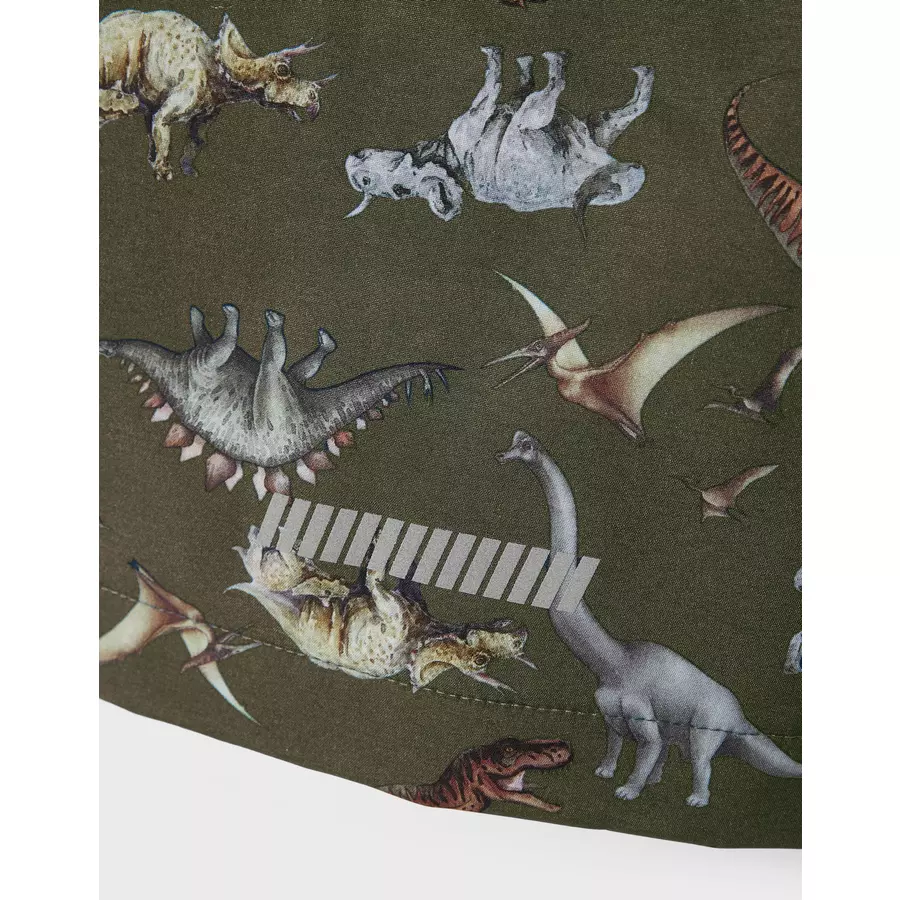 name it Softshelljacke Nmmalfa Dino Olive Night