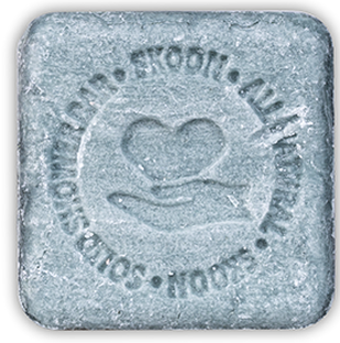 Skoon Shower Bar Fresh To The Max 90GR