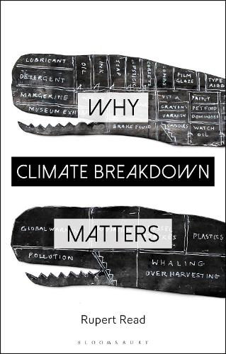 Why Climate Breakdown Matters - Why Philosophy Matters (Paperback)