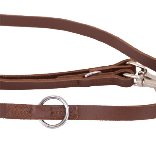 Laisse cuir multiposition pour chien