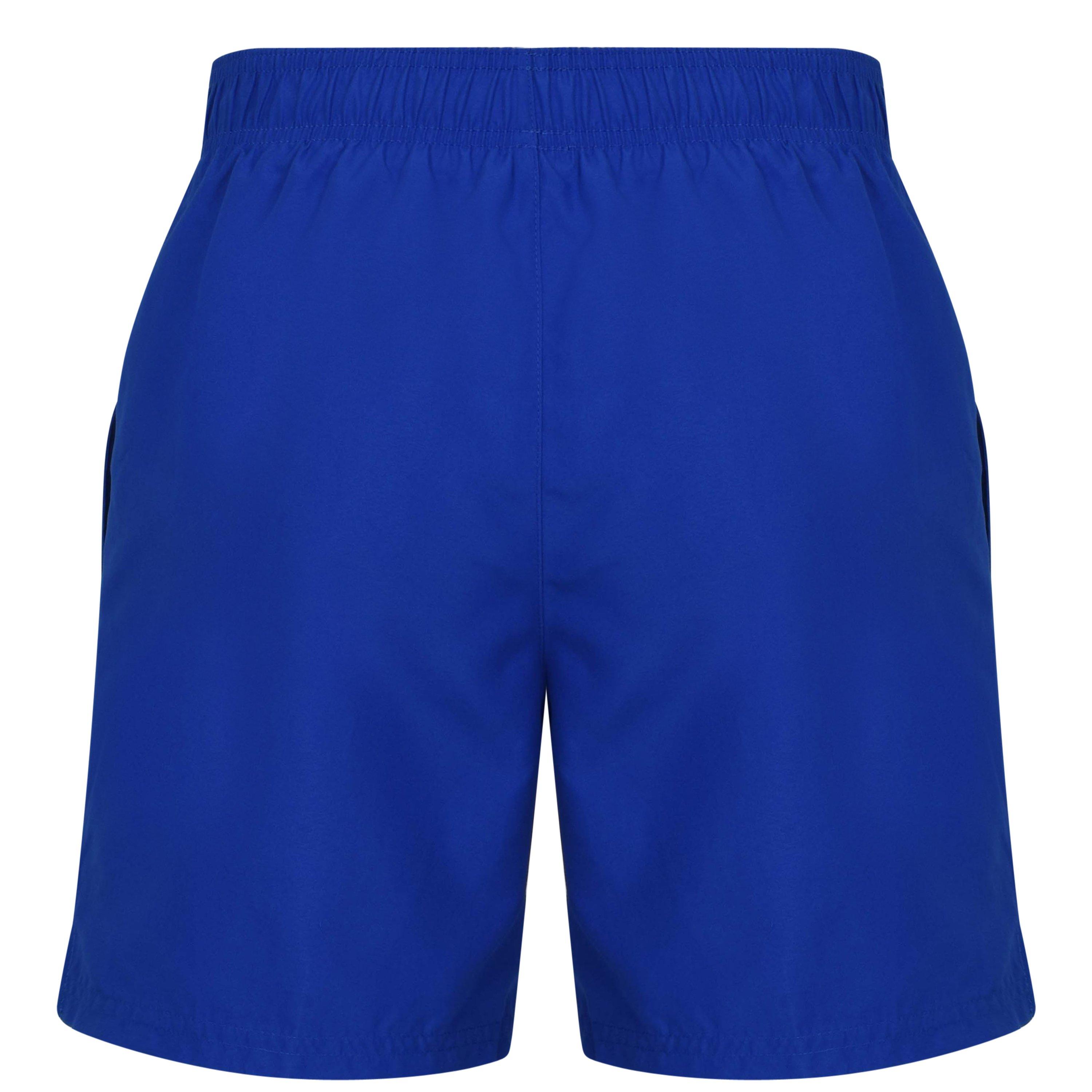 Nike Core Swim Shorts Mens