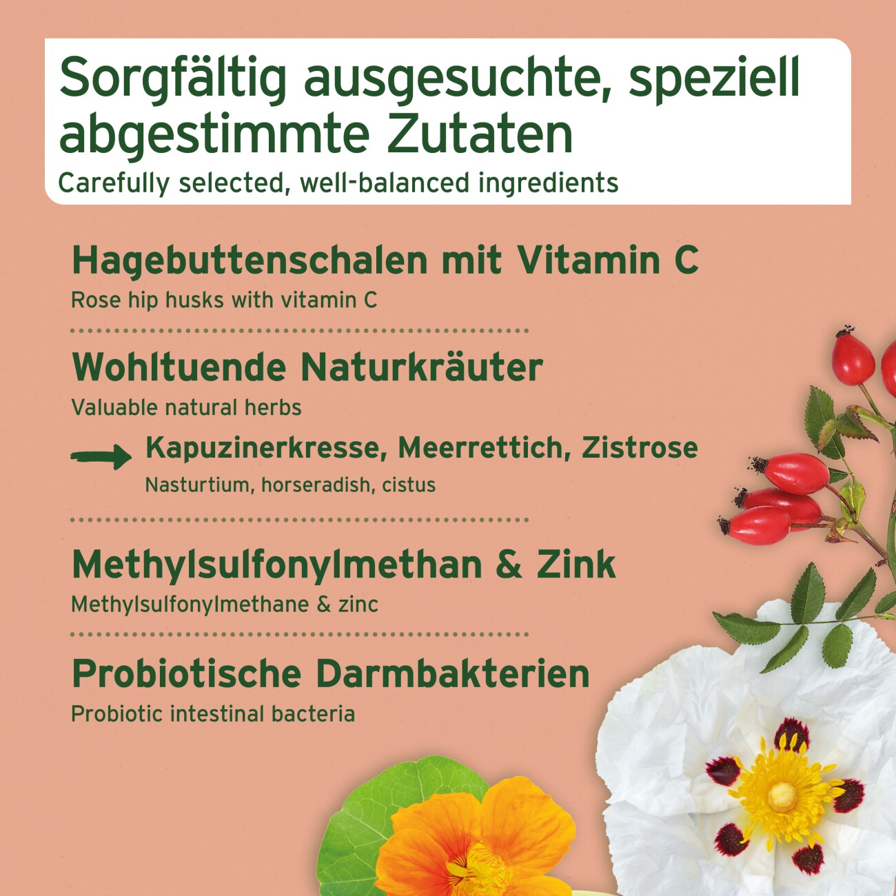 AniForte Immun Boost Snack 300g