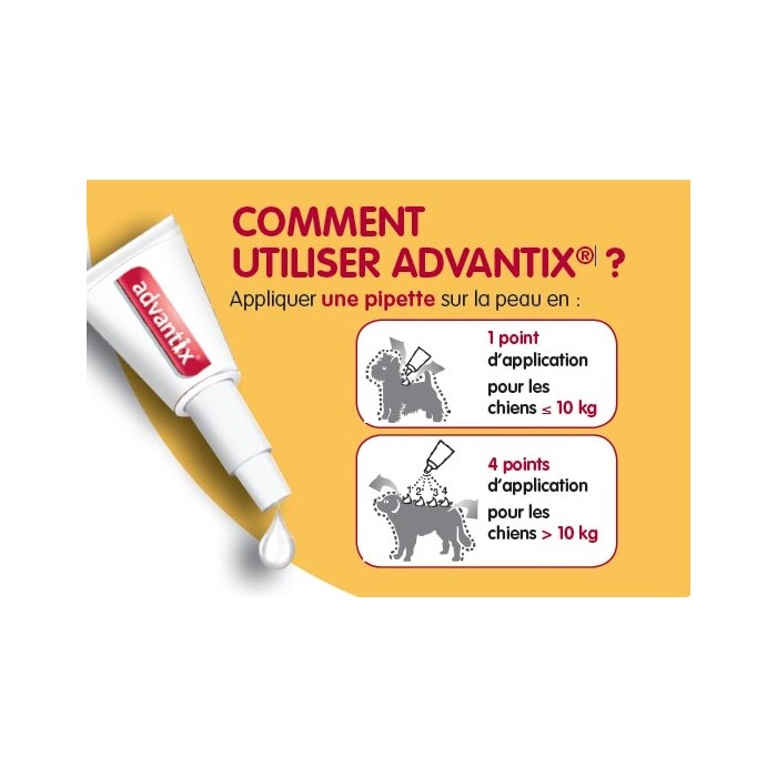 Pipettes Advantix chien