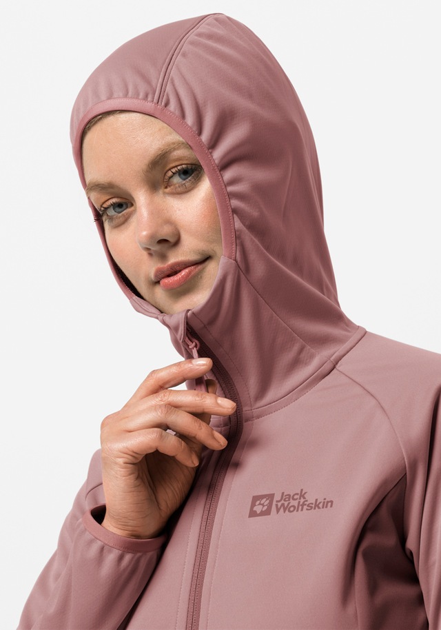 Jack Wolfskin Softshelljacke »GO HIKE SOFTSHELL W« mit Kapuze