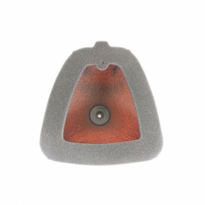 Filtre à air Twin air résistant au feu - 152220FRBIG