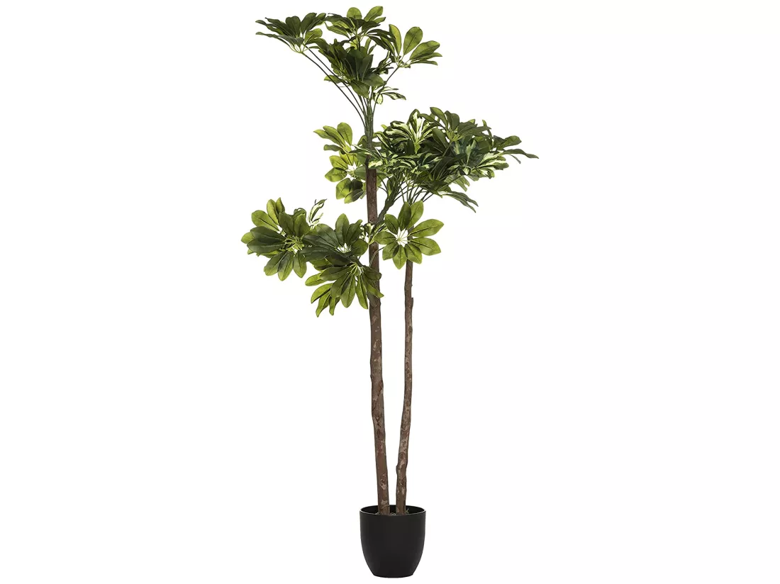 Plante artificielle Cheflera l.70 x d.65 x h130, verte