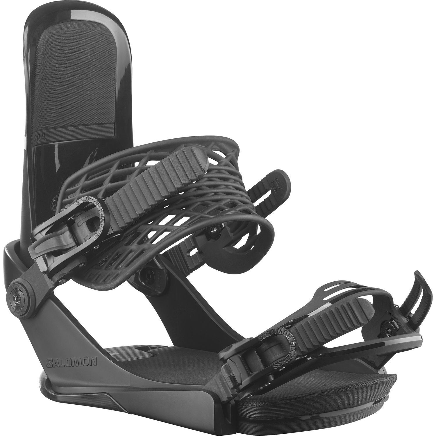 SalomonEDB