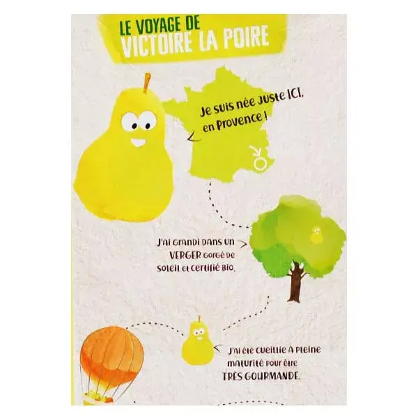 Maçã, Pera e Acerola Orgânicas Vitabio Cool Fruits 12 x 90g