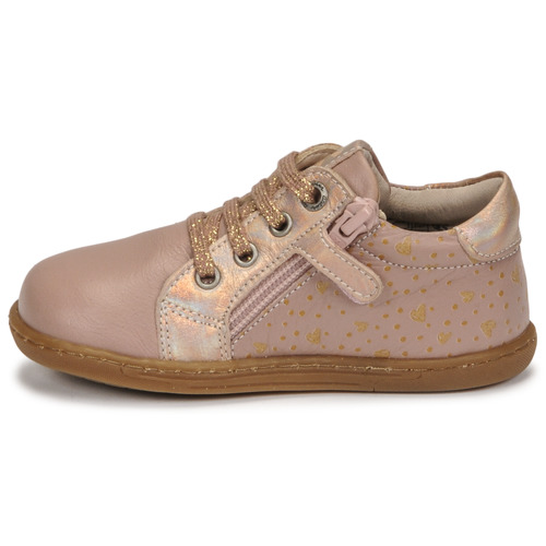 Aster - WAISY - Rose