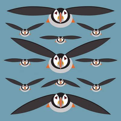 Puffins