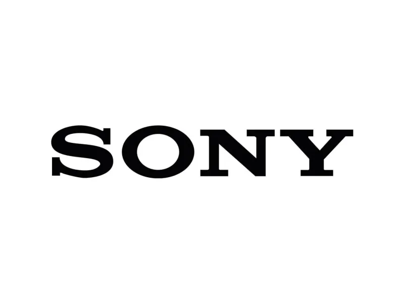 Sony SRS-XG300 - Højttaler - til transportabel brug - trådløs - Bluetooth - App-kontrolleret - 2-vejs - sort