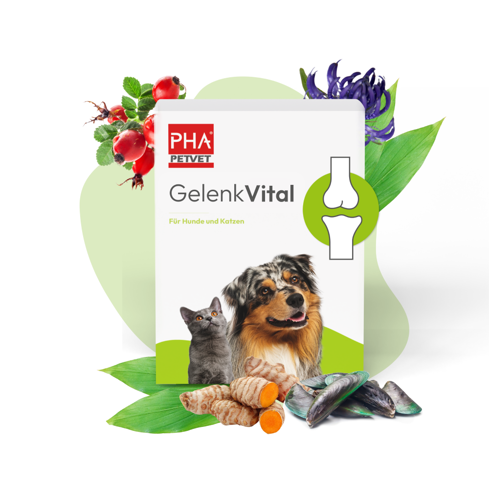 PHA GelenkVital Plv 150 g