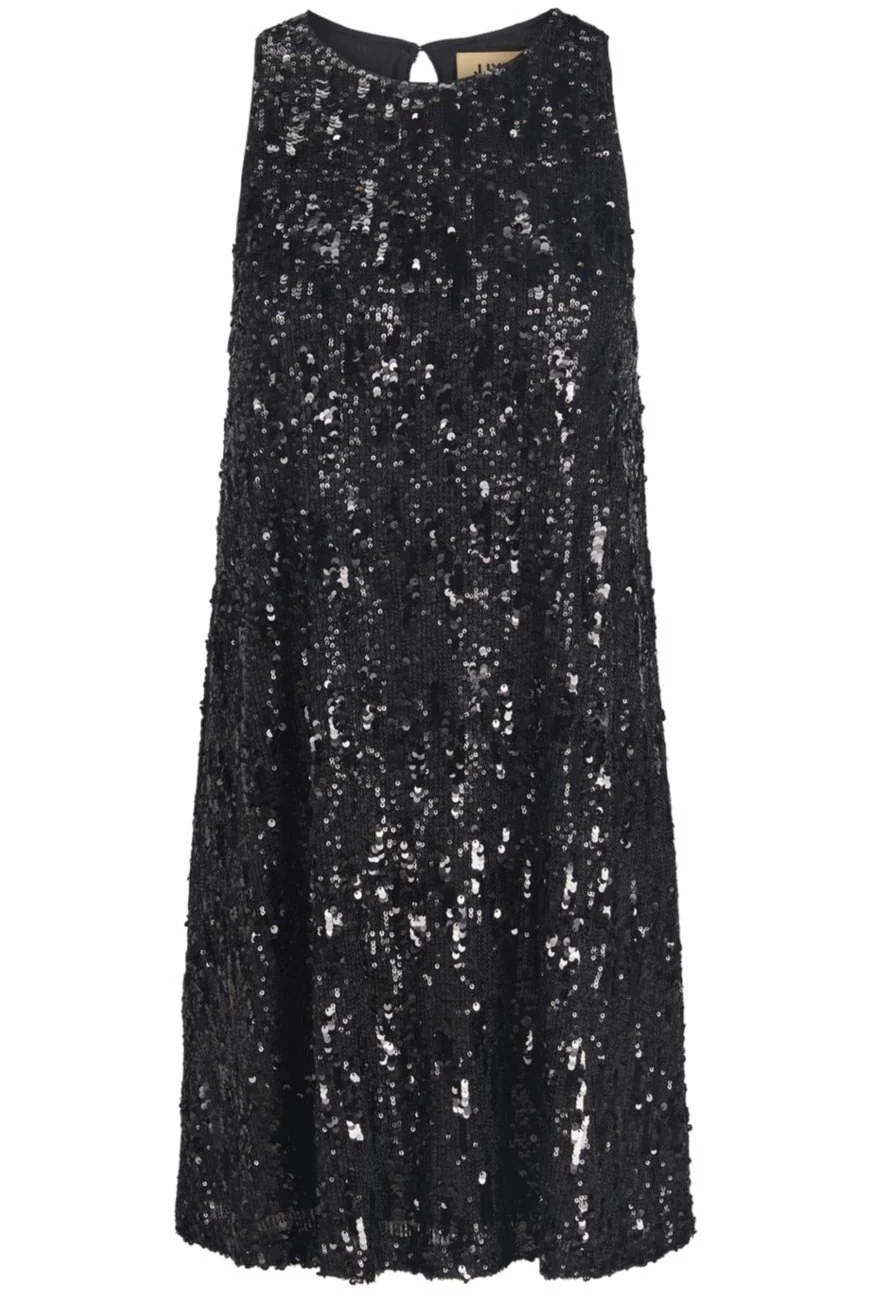 Jjxx Jxtara Sl Sequin Dress 12265335