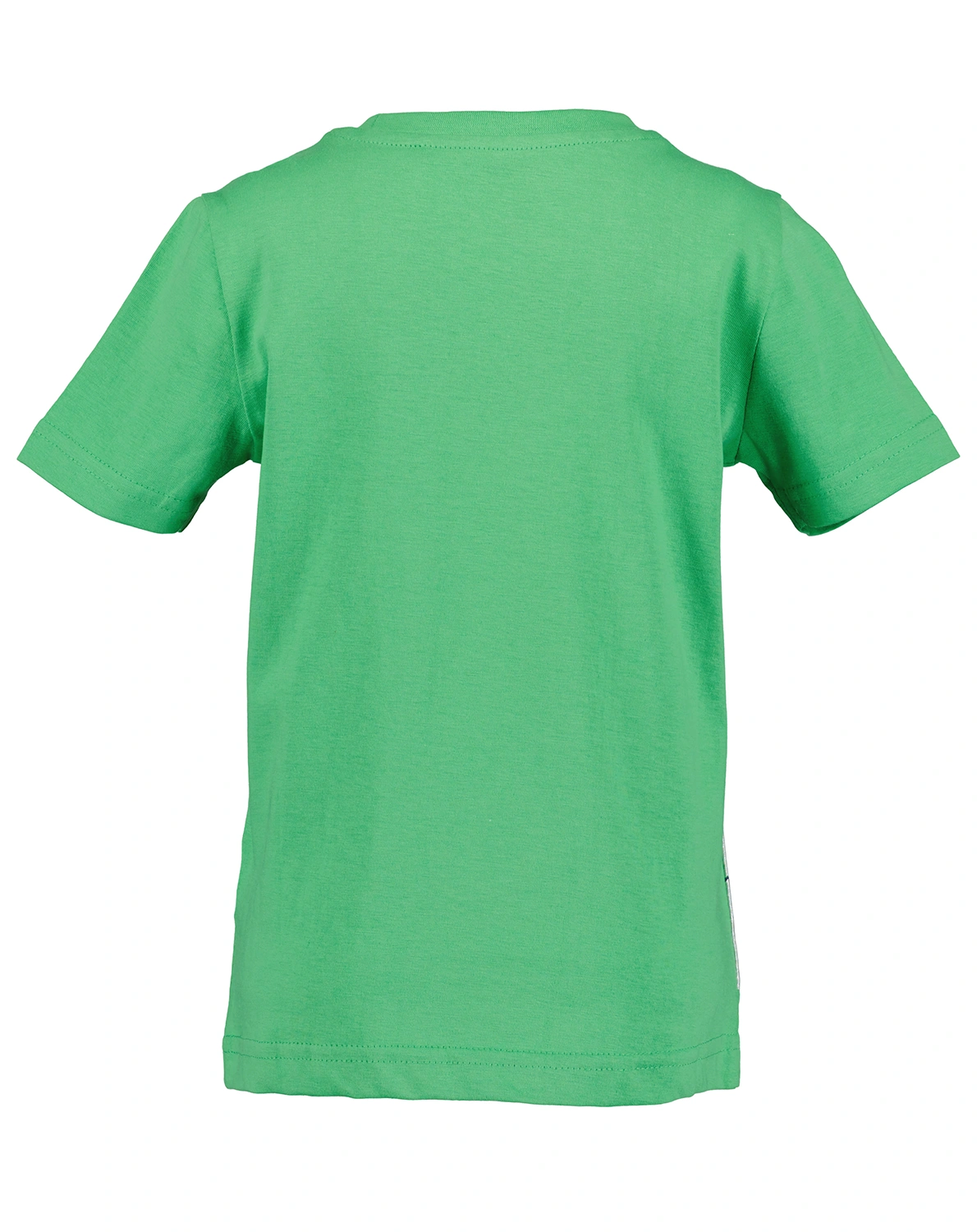 T-Shirt WHAT A DINO in apfel