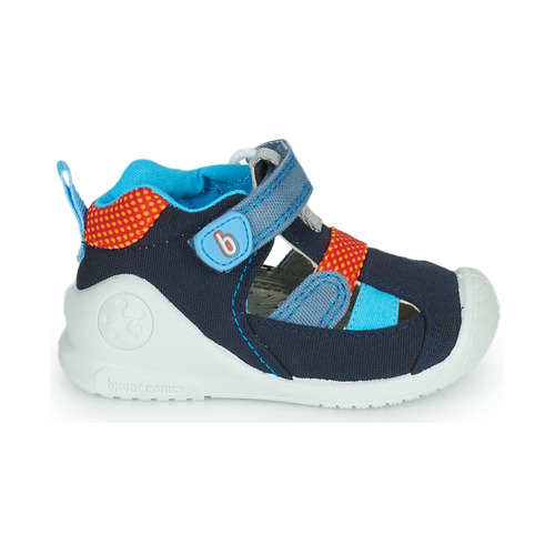 Biomecanics - ANDREA - Bleu