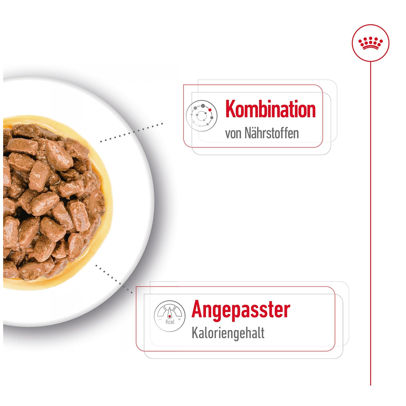ROYAL CANIN Mini Ageing 12+ in Soße 12x85 g