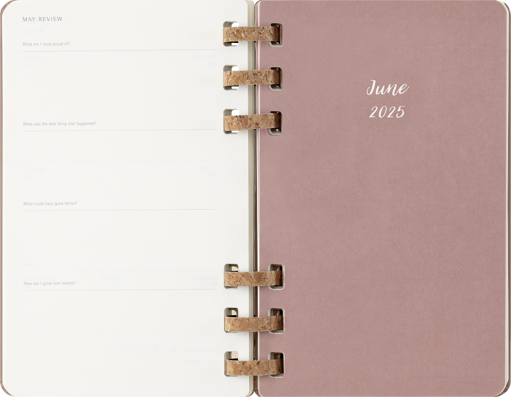 Life Planner 2025 L 12-Month, Spiral