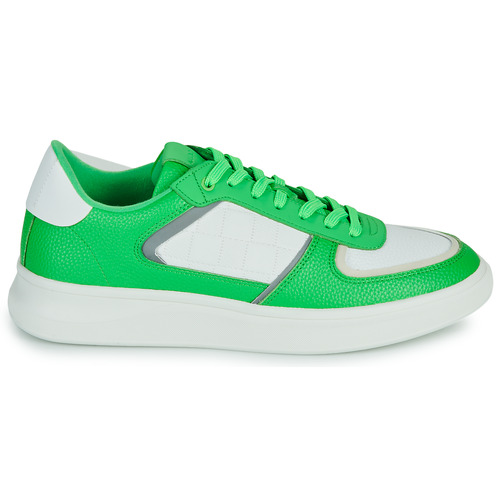Aldo - POPWALK - Vert